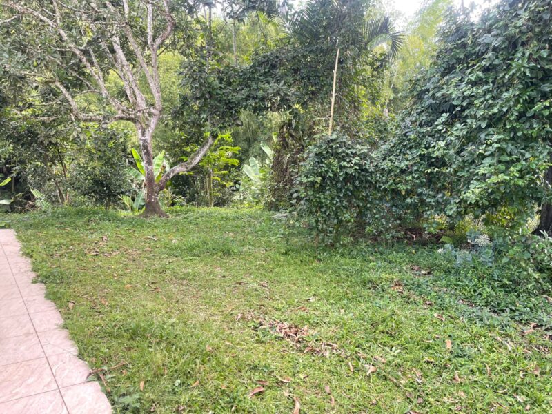 venta de finca la julia