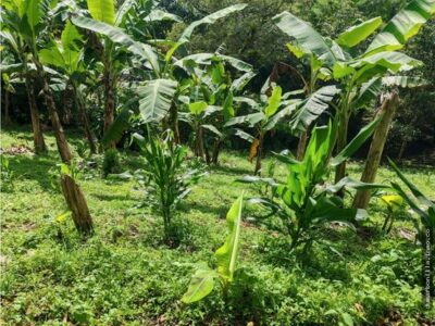 VENTA DE LOTE VEREDA EL JORDAN