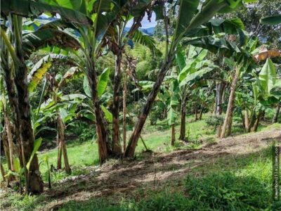 VENTA DE LOTE VEREDA EL JORDAN