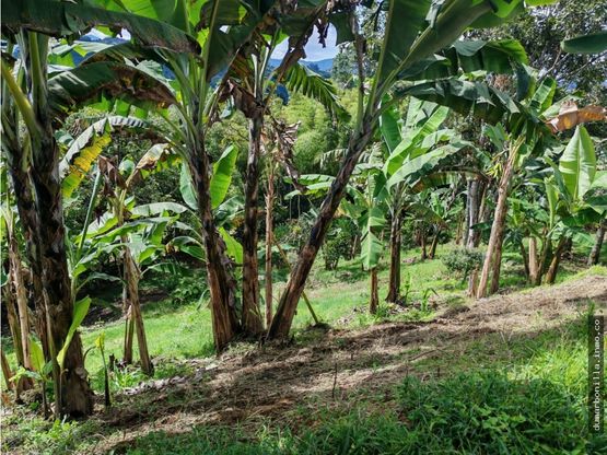 VENTA DE LOTE VEREDA EL JORDAN