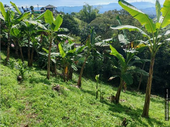 VENTA DE LOTE VEREDA EL JORDAN