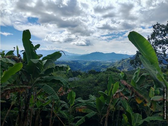 VENTA DE LOTE VEREDA EL JORDAN