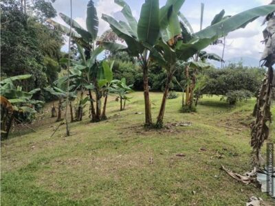 VENTA DE LOTE VEREDA EL JORDAN