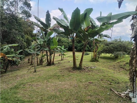 VENTA DE LOTE VEREDA EL JORDAN