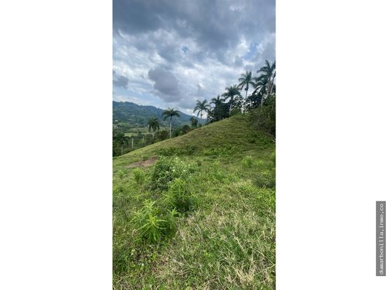 VENTA DE LOTE VEREDA EL POMO